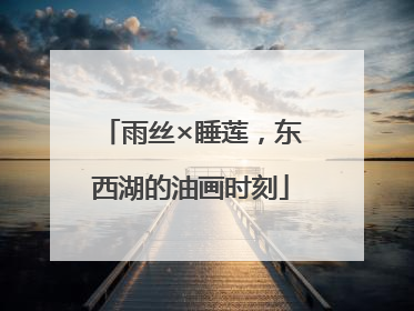 雨丝×睡莲，东西湖的油画时刻
