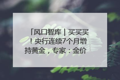 风口智库｜买买买！央行连续7个月增持黄金，专家：金价或仍易涨难跌