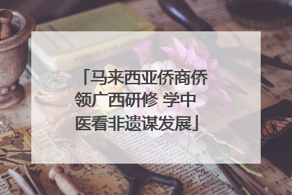 马来西亚侨商侨领广西研修 学中医看非遗谋发展