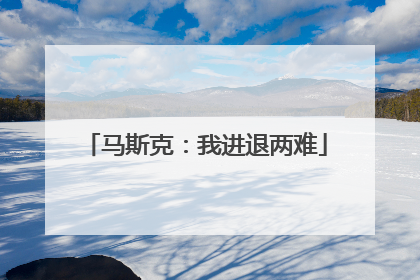 马斯克：我进退两难