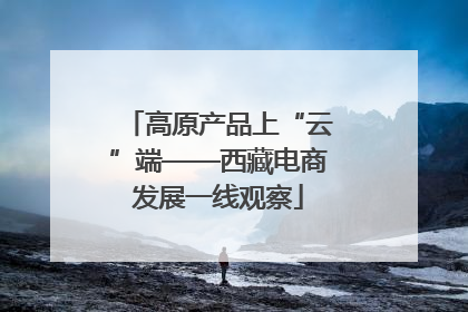 高原产品上“云”端——西藏电商发展一线观察