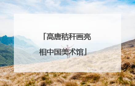 高唐秸秆画亮相中国美术馆