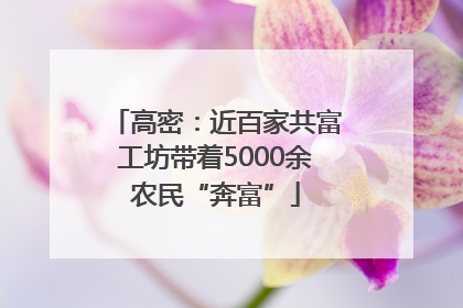 高密：近百家共富工坊带着5000余农民“奔富”