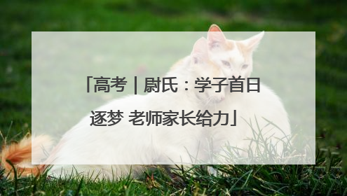高考｜尉氏：学子首日逐梦 老师家长给力