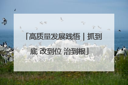 高质量发展践悟｜抓到底 改到位 治到根