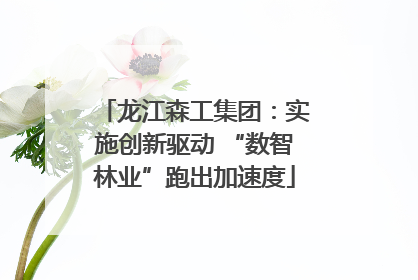 龙江森工集团：实施创新驱动 “数智林业”跑出加速度