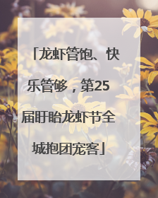 龙虾管饱、快乐管够，第25届盱眙龙虾节全城抱团宠客