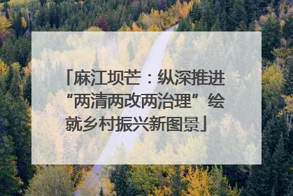 麻江坝芒：纵深推进“两清两改两治理”绘就乡村振兴新图景