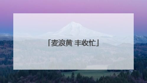 麦浪黄 丰收忙