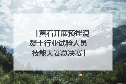 黄石开展预拌混凝土行业试验人员技能大赛总决赛