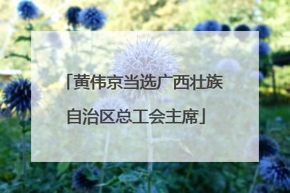 黄伟京当选广西壮族自治区总工会主席