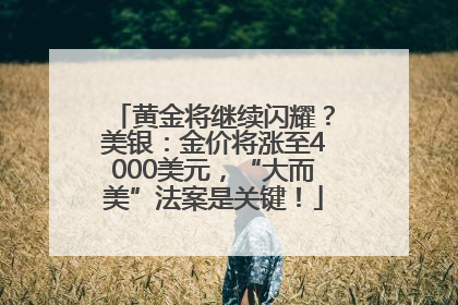 黄金将继续闪耀？美银：金价将涨至4000美元，“大而美”法案是关键！