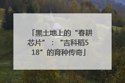 黑土地上的“春耕芯片”：“吉科稻518”的育种传奇