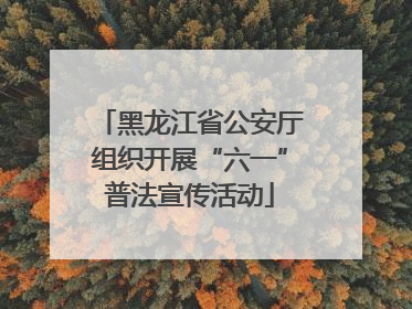 黑龙江省公安厅组织开展“六一”普法宣传活动