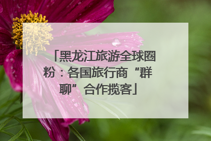黑龙江旅游全球圈粉：各国旅行商“群聊”合作揽客