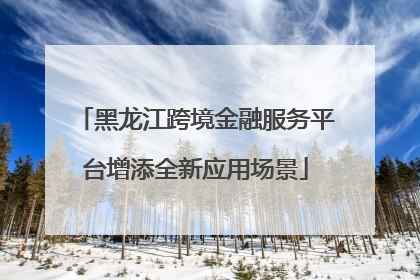 黑龙江跨境金融服务平台增添全新应用场景