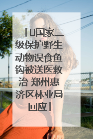 ﻿国家二级保护野生动物误食鱼钩被送医救治 郑州惠济区林业局回应