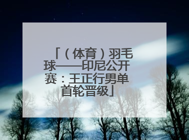 （体育）羽毛球——印尼公开赛：王正行男单首轮晋级