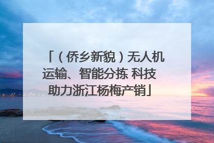 （侨乡新貌）无人机运输、智能分拣 科技助力浙江杨梅产销