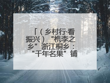 （乡村行·看振兴）“槜李之乡”浙江桐乡：“千年名果”铺就乡村共富路