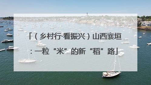 （乡村行·看振兴）山西襄垣：一粒“米”的新“稻”路