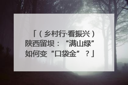 （乡村行·看振兴）陕西留坝：“满山绿”如何变“口袋金”？