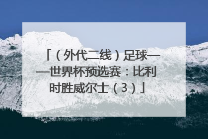 （外代二线）足球——世界杯预选赛：比利时胜威尔士（3）