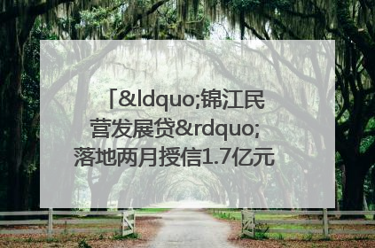 “锦江民营发展贷”落地两月授信1.7亿元，惠及118家民企