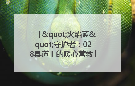 "火焰蓝"守护者：028县道上的暖心营救