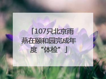 107只北京雨燕在颐和园完成年度“体检”
