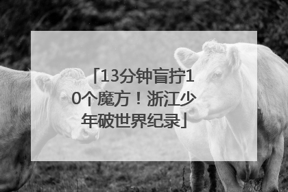 13分钟盲拧10个魔方！浙江少年破世界纪录