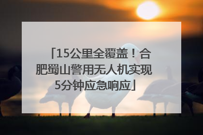 15公里全覆盖！合肥蜀山警用无人机实现5分钟应急响应