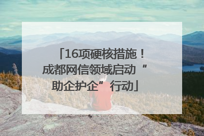 16项硬核措施！成都网信领域启动“助企护企”行动