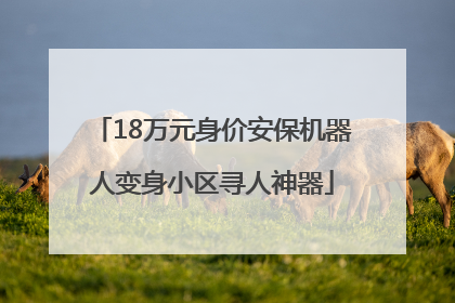 18万元身价安保机器人变身小区寻人神器