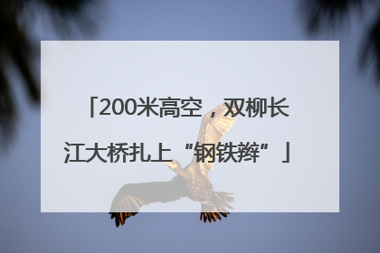 200米高空，双柳长江大桥扎上“钢铁辫”