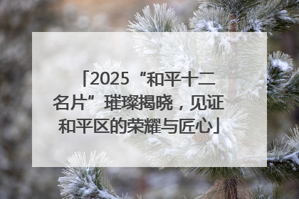 2025“和平十二名片”璀璨揭晓，见证和平区的荣耀与匠心