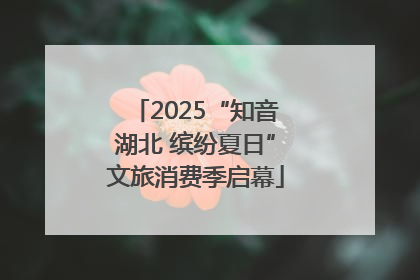 2025“知音湖北 缤纷夏日”文旅消费季启幕