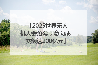 2025世界无人机大会落幕，意向成交额达200亿元