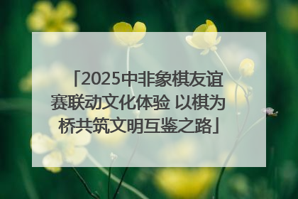 2025中非象棋友谊赛联动文化体验 以棋为桥共筑文明互鉴之路