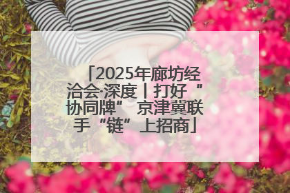 2025年廊坊经洽会·深度丨打好“协同牌” 京津冀联手“链”上招商