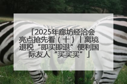 2025年廊坊经洽会亮点抢先看（十）丨离境退税“即买即退”便利国际友人“买买买”