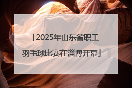 2025年山东省职工羽毛球比赛在淄博开幕