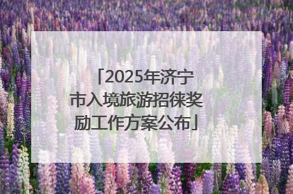 2025年济宁市入境旅游招徕奖励工作方案公布