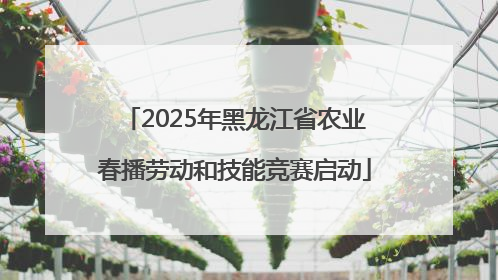 2025年黑龙江省农业春播劳动和技能竞赛启动