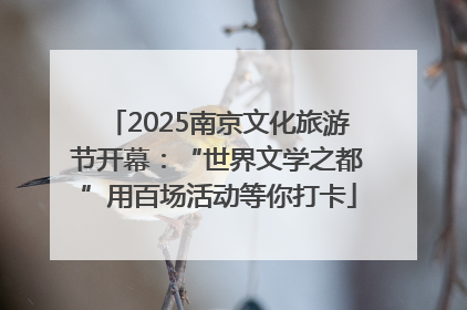2025南京文化旅游节开幕：“世界文学之都”用百场活动等你打卡