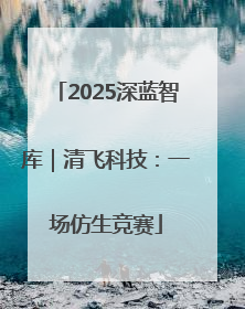 2025深蓝智库｜清飞科技：一场仿生竞赛