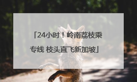 24小时！岭南荔枝乘专线 枝头直飞新加坡
