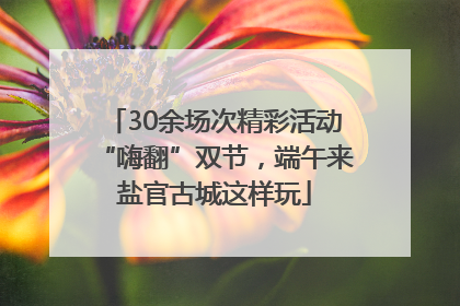 30余场次精彩活动“嗨翻”双节，端午来盐官古城这样玩