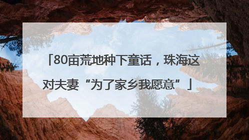 80亩荒地种下童话，珠海这对夫妻“为了家乡我愿意”