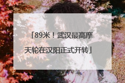 89米！武汉最高摩天轮在汉阳正式开转